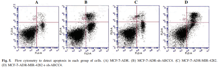 流式2.png 流式2.png