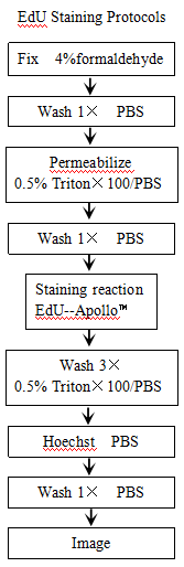 增值1.png 增值1.png